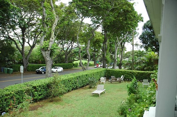 th 2211 Kamehameha Ave - Maya and Jack-15