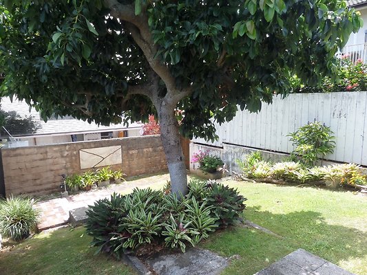 th SAM 1051 - SAMSUNG CAMERA PICTURES