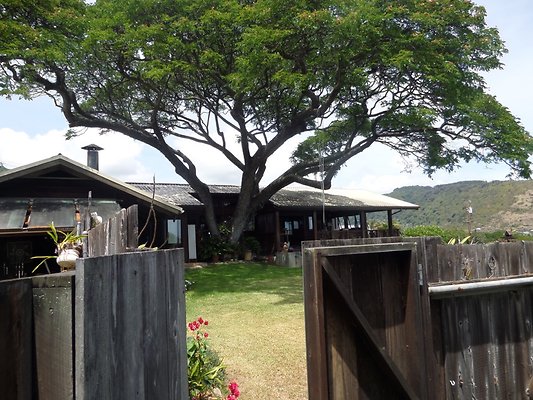 th SAM 1052 - SAMSUNG CAMERA PICTURES