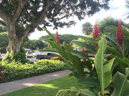 HI50 S5 2015-02-02 09.02.52