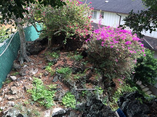 HI50 S5 2015-02-02 09.51.54