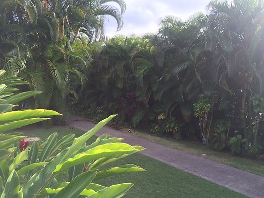 HI50 S5 2015-02-02 09.02.44