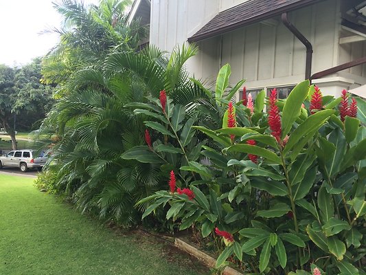 HI50 S5 2015-02-02 09.02.25