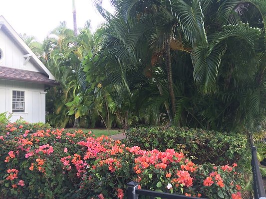 HI50 S5 2015-02-02 09.02.02