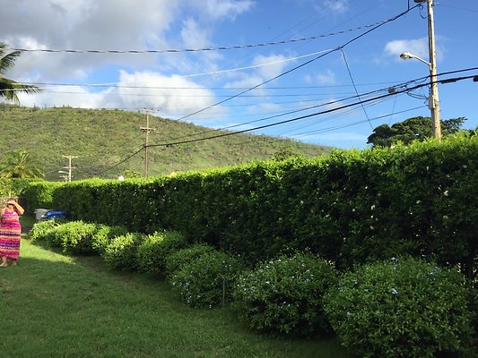 HI50 S6 2015-09-04 17.35.41