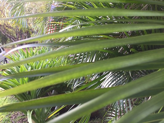 HI50 S6 2015-09-04 17.36.42