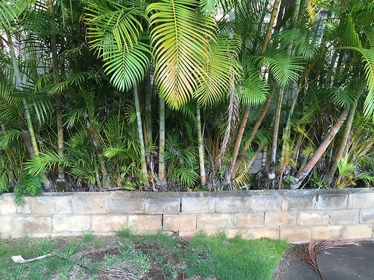 HI50 S6 2015-09-04 17.36.12