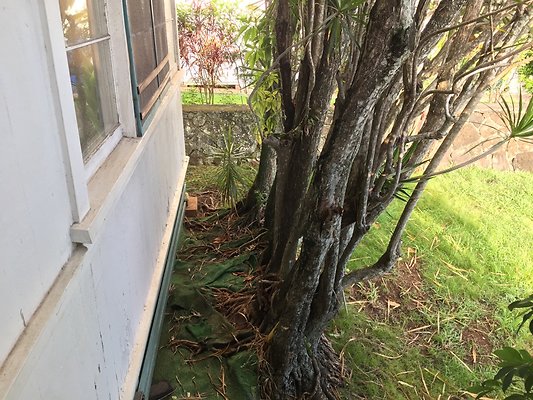 HI50 S6 2015-09-04 17.32.05