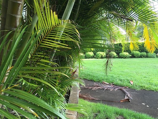 HI50 S6 2015-09-04 17.36.23