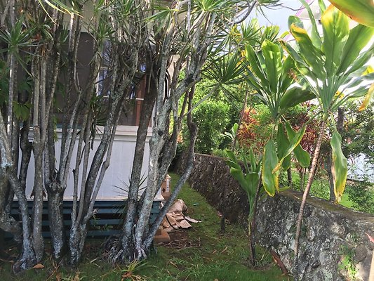 HI50 S6 2015-09-04 17.31.33