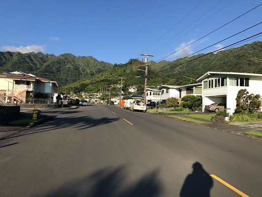 Manoa 3337 Pawaina St Denise (808)221-6689