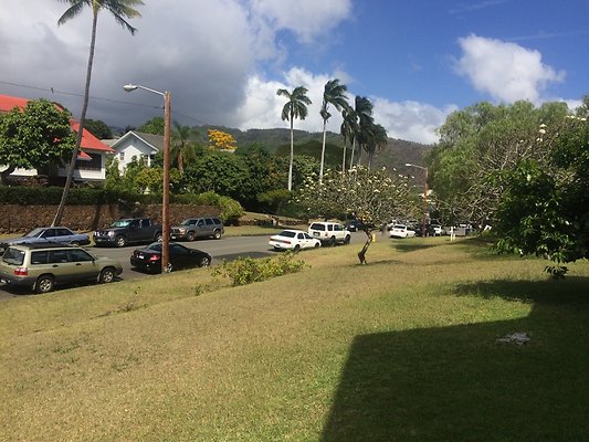 HI50 S6 2115 Kamehameha Ave 51.55