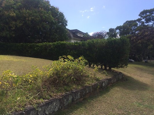 HI50 S6 2115 Kamehameha Ave 51.23