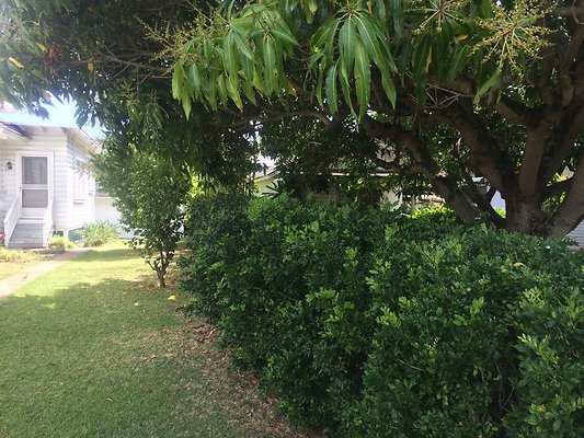 HI50 S6 2115 Kamehameha Ave 52.27