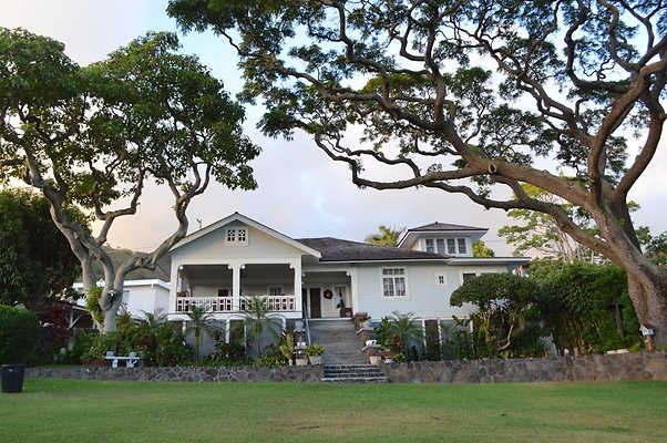 Manoa 2146 Kamehameha Ave Debbie 808.256.3589 Manoa 2146 Kamehameha Ave Debbie 808.256.3589