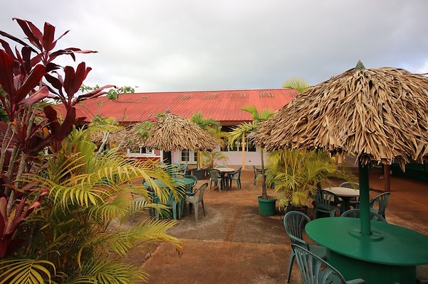 th IMG 1639 th IMG 1639