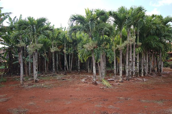 th IMG 1615 th IMG 1615