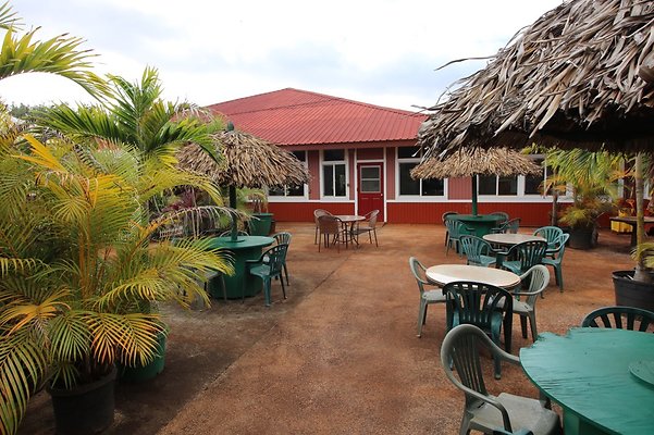 th IMG 1638 th IMG 1638