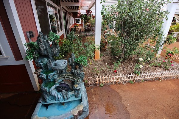 th IMG 1651 th IMG 1651