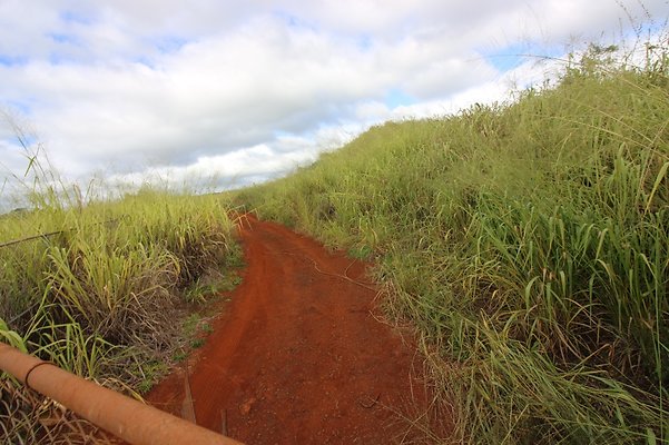 th IMG 1623 th IMG 1623