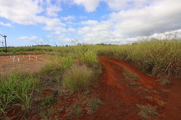 th IMG 1622 th IMG 1622