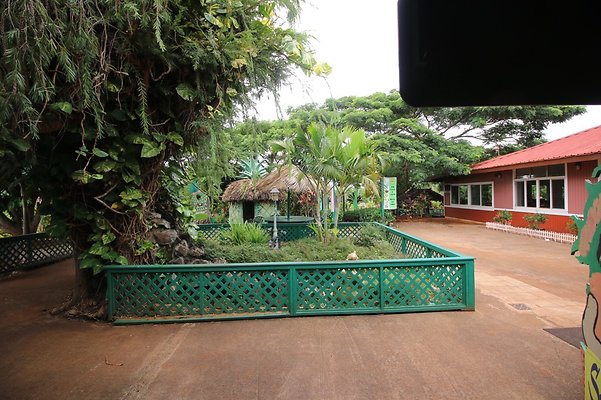 th IMG 1646 th IMG 1646