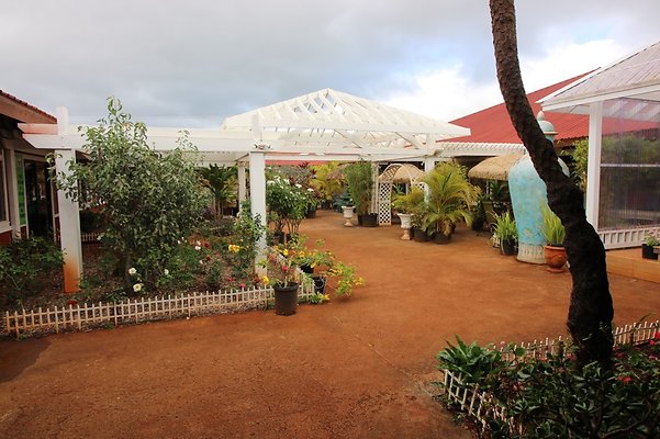 th IMG 1643 th IMG 1643