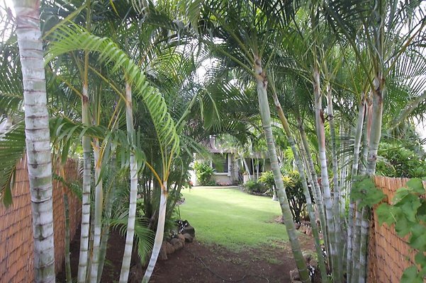 th IMG 2170 th IMG 2170