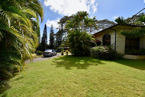 th Peters Place - Party House 1558 th Peters Place - Party House 1558