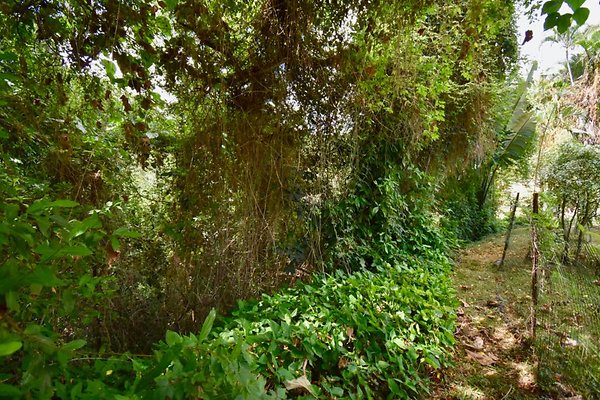 th Peters Place - Party House 1578 th Peters Place - Party House 1578