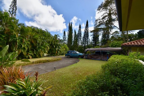 th Peters Place - Party House 1551 th Peters Place - Party House 1551