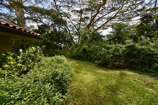 th Peters Place - Party House 1574 th Peters Place - Party House 1574