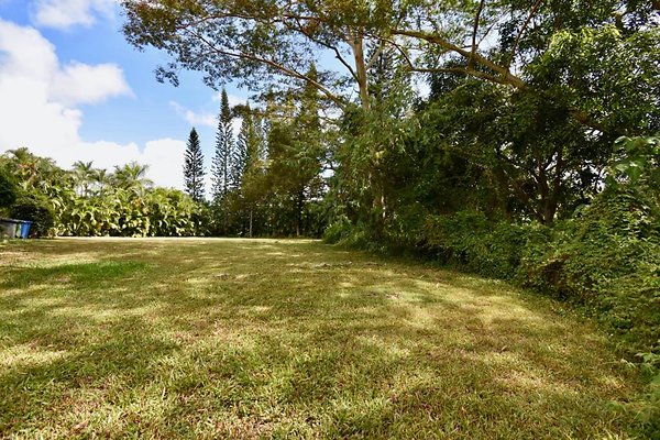 th Peters Place - Party House 1573 th Peters Place - Party House 1573