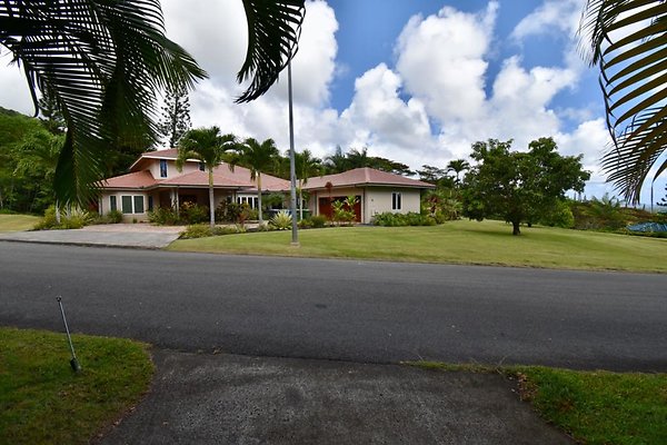 th Peters Place - Party House 1550 th Peters Place - Party House 1550