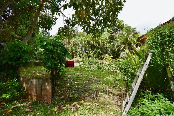 th Peters Place - Party House 1576 th Peters Place - Party House 1576