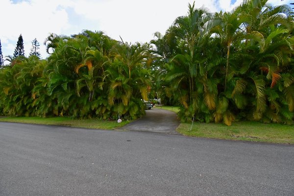 th Peters Place - Party House 1548 th Peters Place - Party House 1548