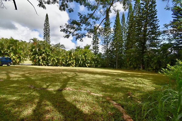 th Peters Place - Party House 1569 th Peters Place - Party House 1569