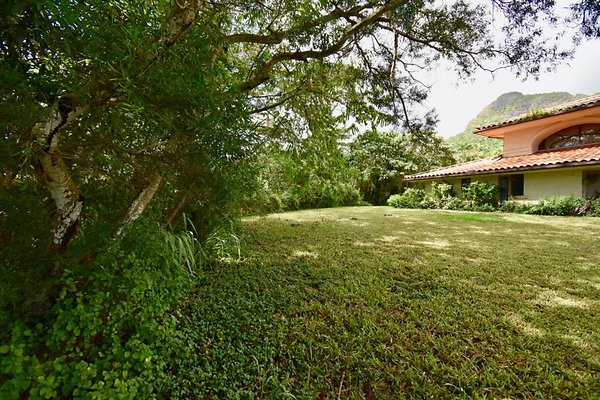 th Peters Place - Party House 1567 th Peters Place - Party House 1567