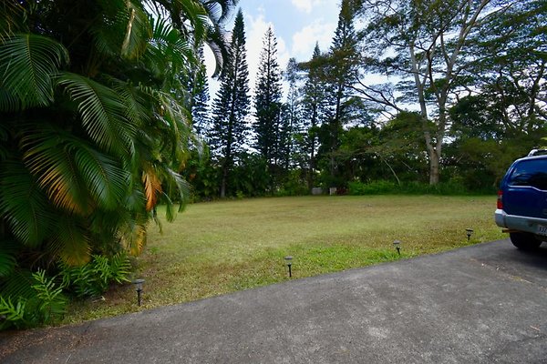 th Peters Place - Party House 1561 th Peters Place - Party House 1561