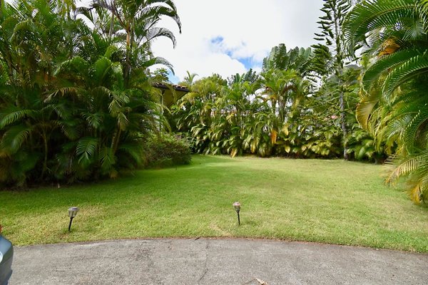 th Peters Place - Party House 1557 th Peters Place - Party House 1557