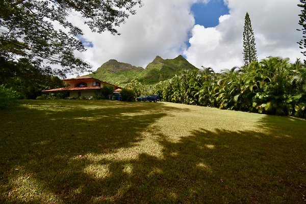 th Peters Place - Party House 1565 th Peters Place - Party House 1565