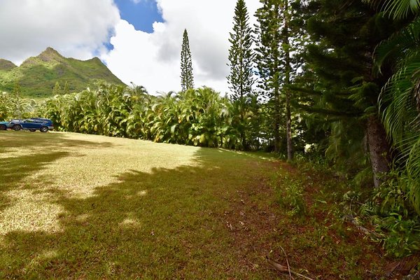 th Peters Place - Party House 1566 th Peters Place - Party House 1566