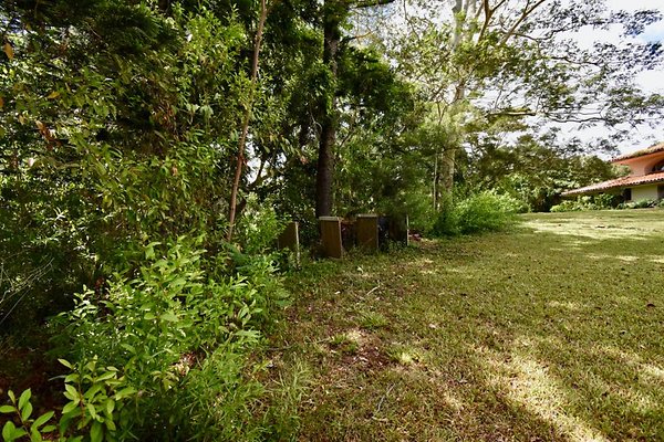 th Peters Place - Party House 1564 th Peters Place - Party House 1564