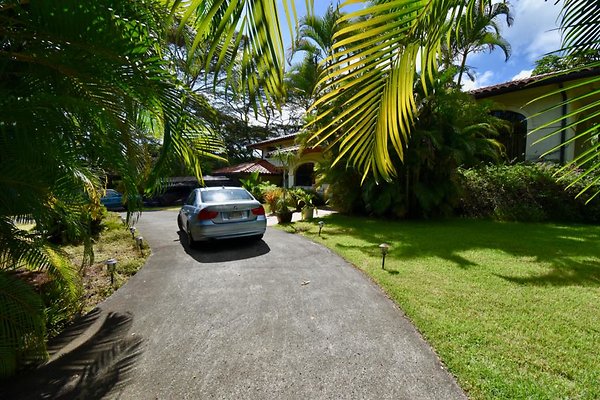 th Peters Place - Party House 1590 th Peters Place - Party House 1590