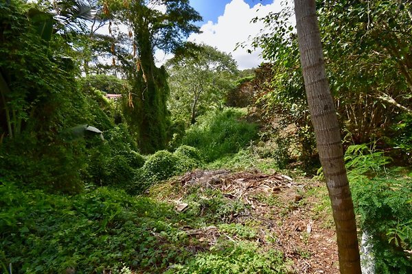 th Peters Place - Party House 1583 th Peters Place - Party House 1583