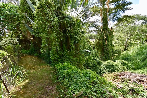 th Peters Place - Party House 1582 th Peters Place - Party House 1582