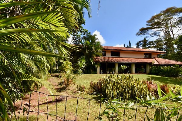 th Peters Place - Party House 1580 th Peters Place - Party House 1580