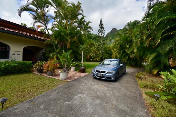 th Peters Place - Party House 1556 th Peters Place - Party House 1556