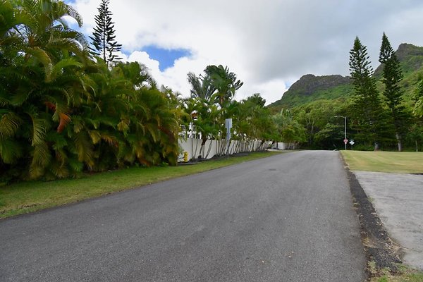 th Peters Place - Party House 1549 th Peters Place - Party House 1549