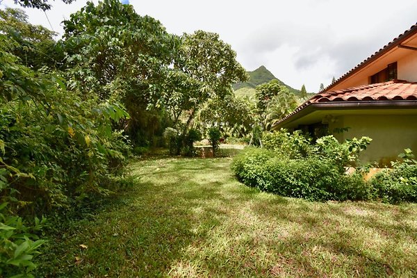 th Peters Place - Party House 1571 th Peters Place - Party House 1571